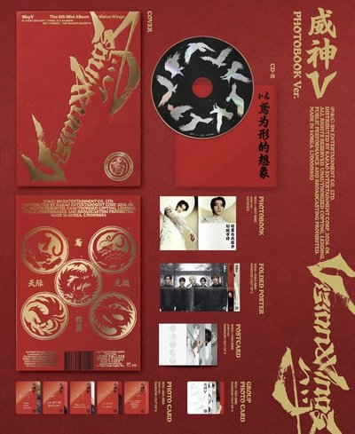 Vision Wings｜未拆專｜（非現）