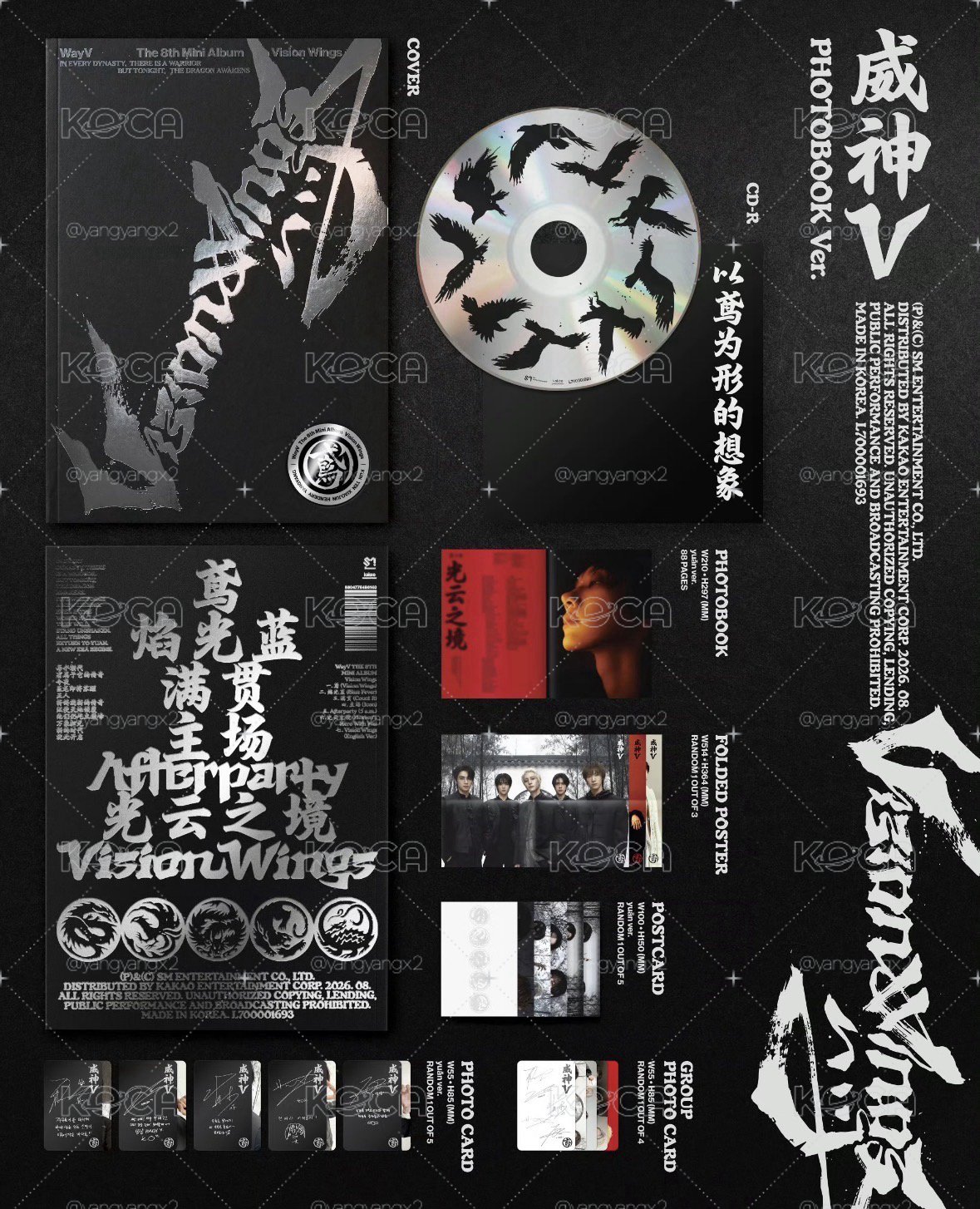 Vision Wings｜未拆專｜（非現）