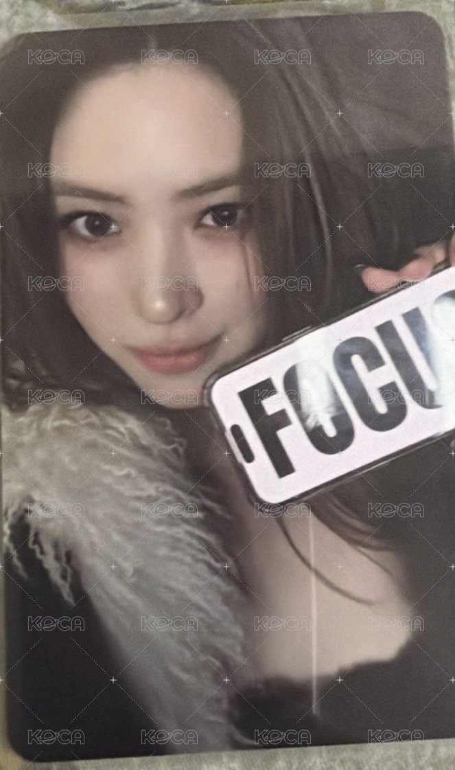 focus 留