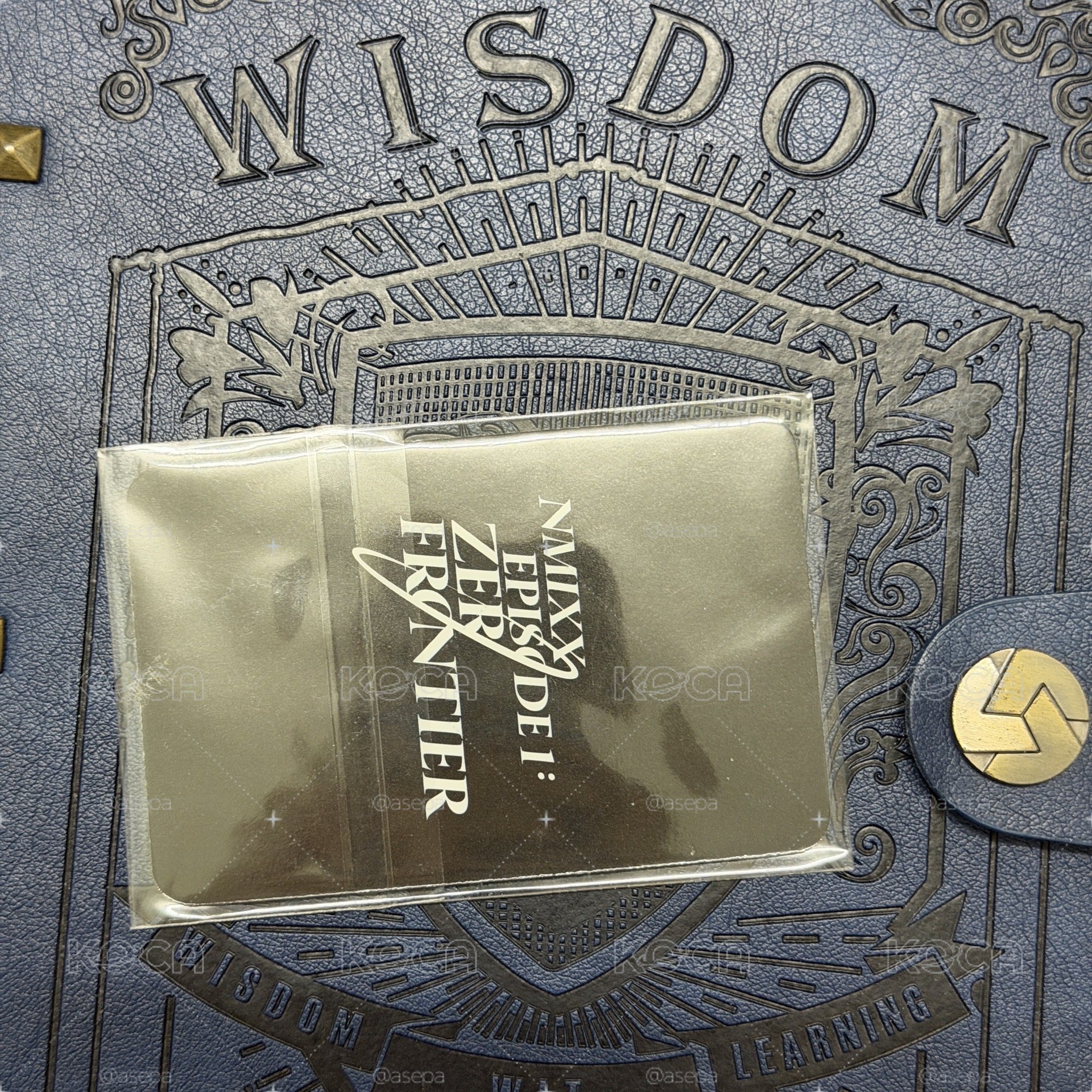 世巡pb Flo特典卡一套