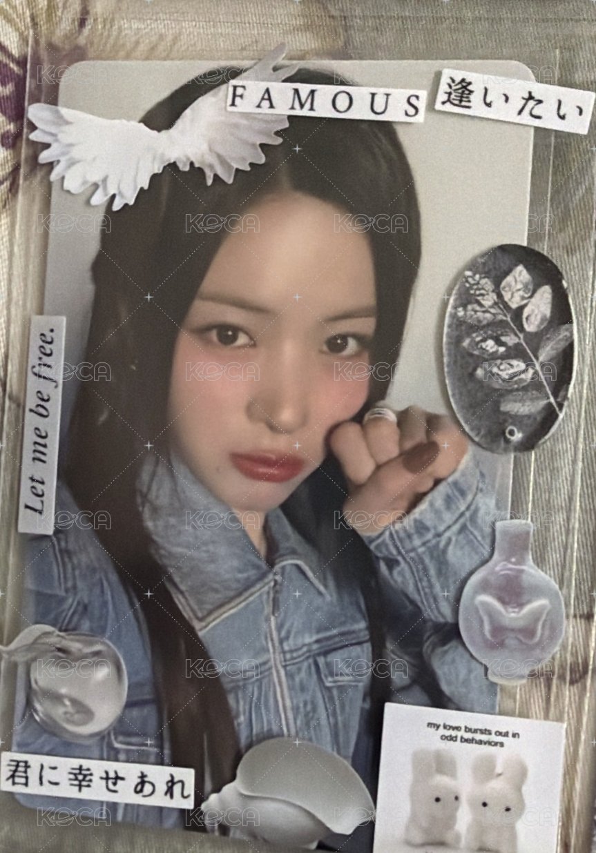 貓拳溜