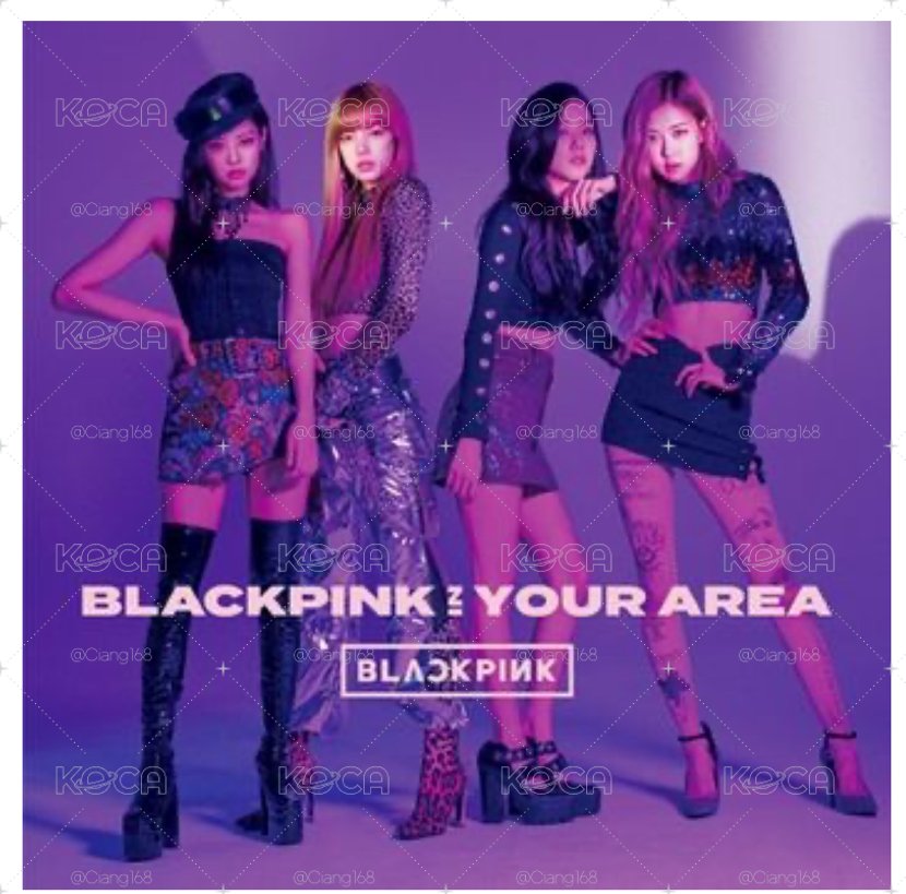 Blackpink in your area超稀有絕版日專