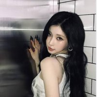 呆貓