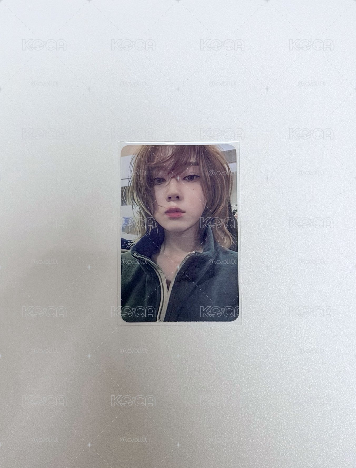 冬