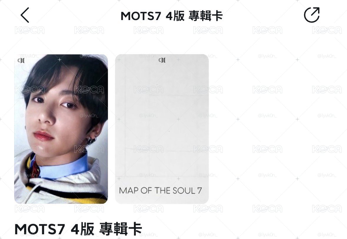 小森林+golden專卡/mots 4 專卡