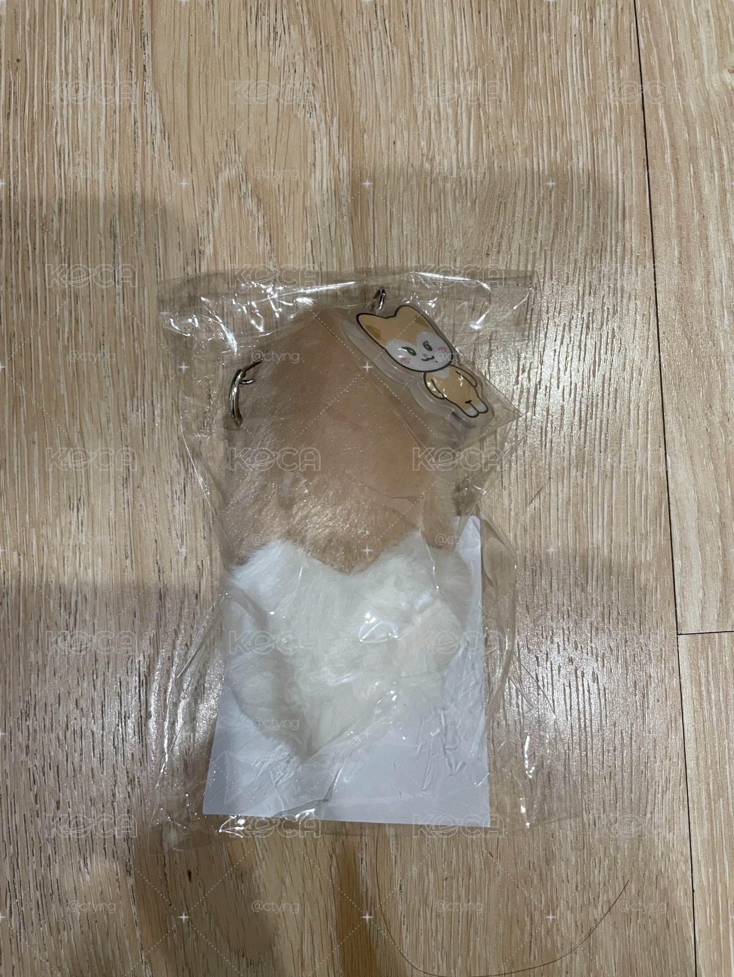 尾巴領