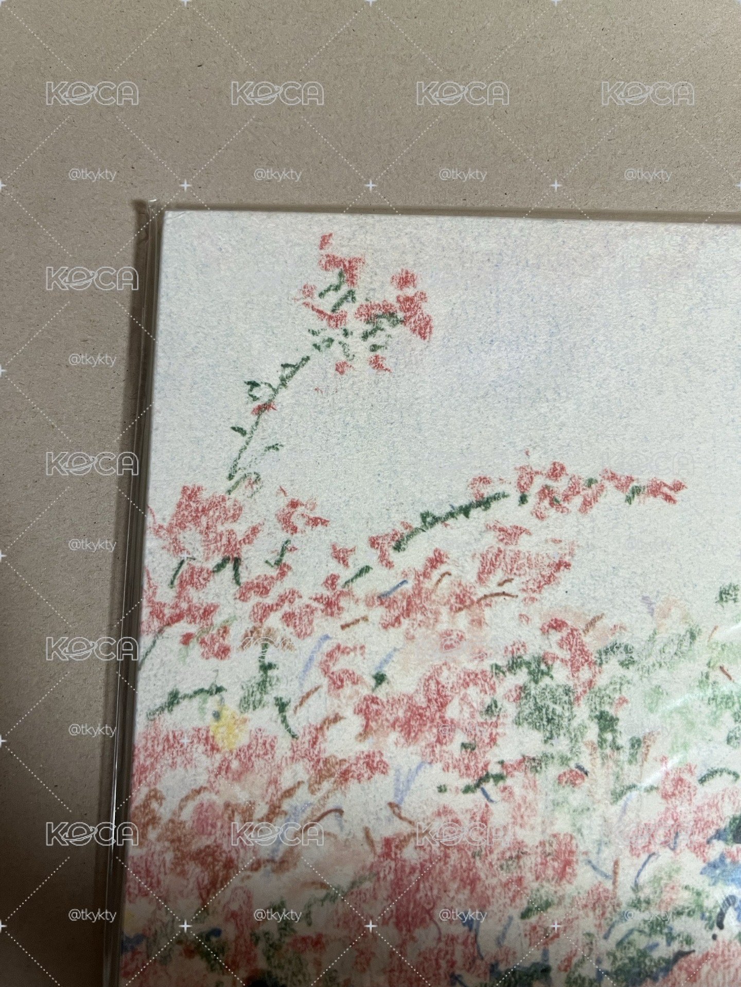太妍 WDICY What Do I Call You 黑膠 未拆