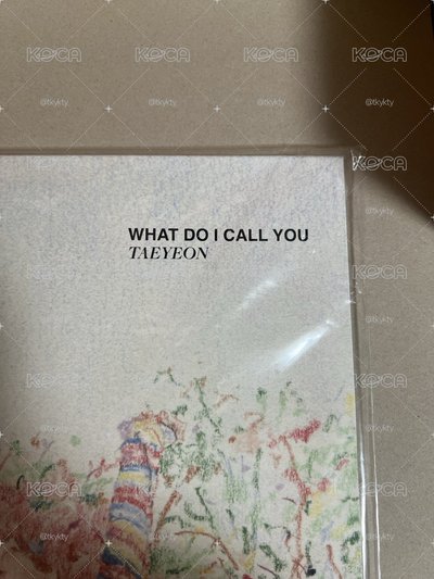 太妍 WDICY What Do I Call You 黑膠 未拆