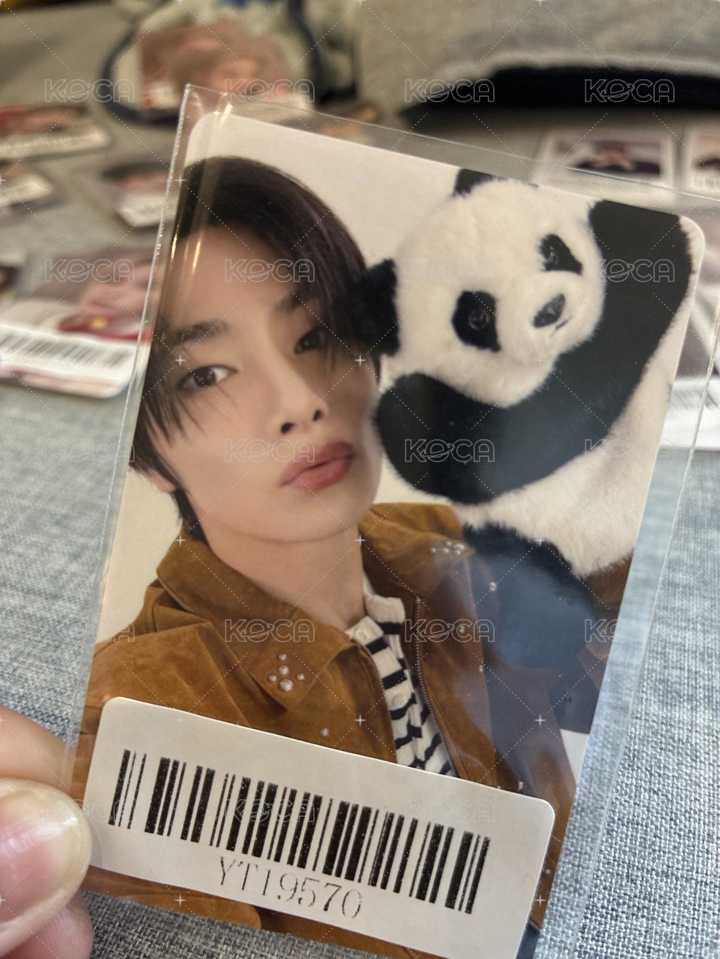 精寅熊貓單張
