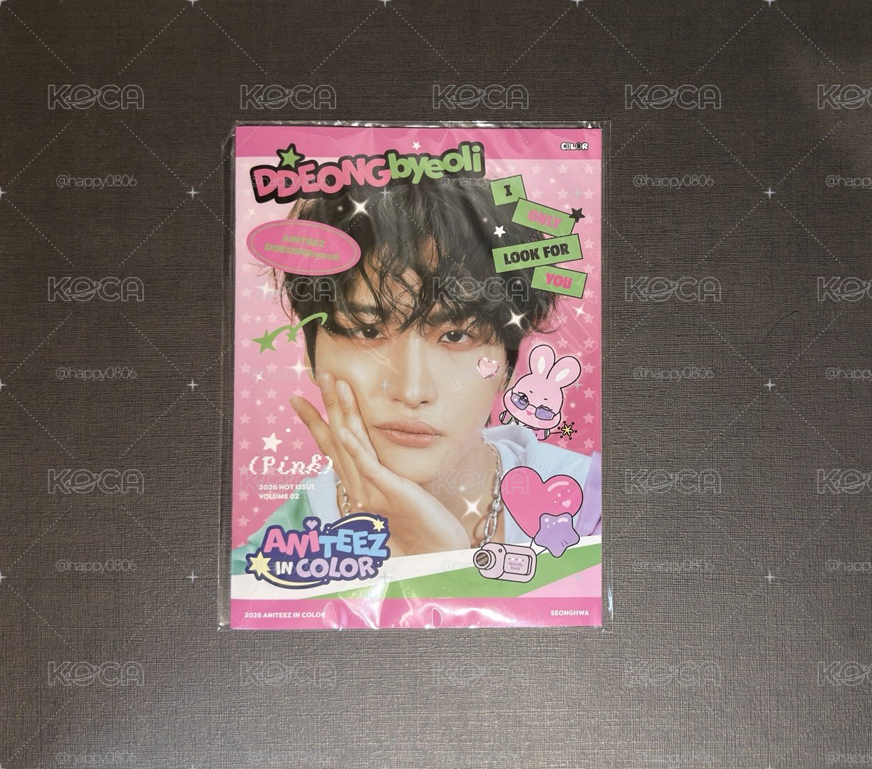 ANITEEZ IN COLOR 星化 MINI PHOTOBOOK