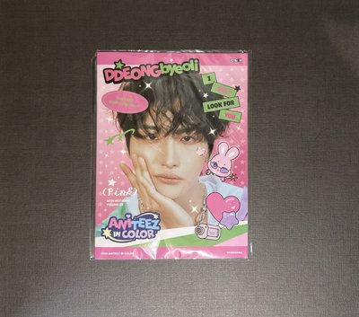 ANITEEZ IN COLOR 星化 MINI PHOTOBOOK