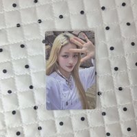 wvs羽