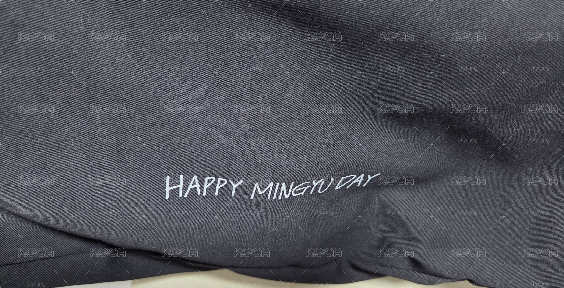 Seventeen Mingyu 生日周邊 包包