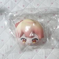 司