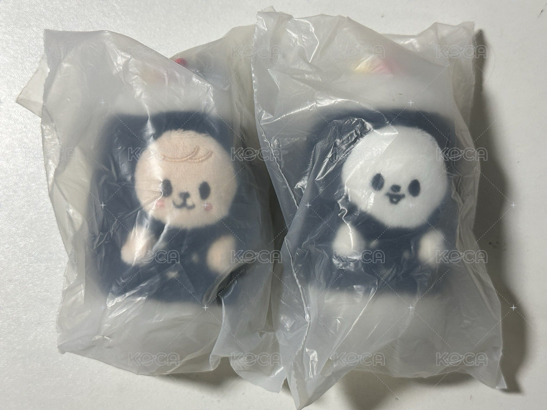帕皮