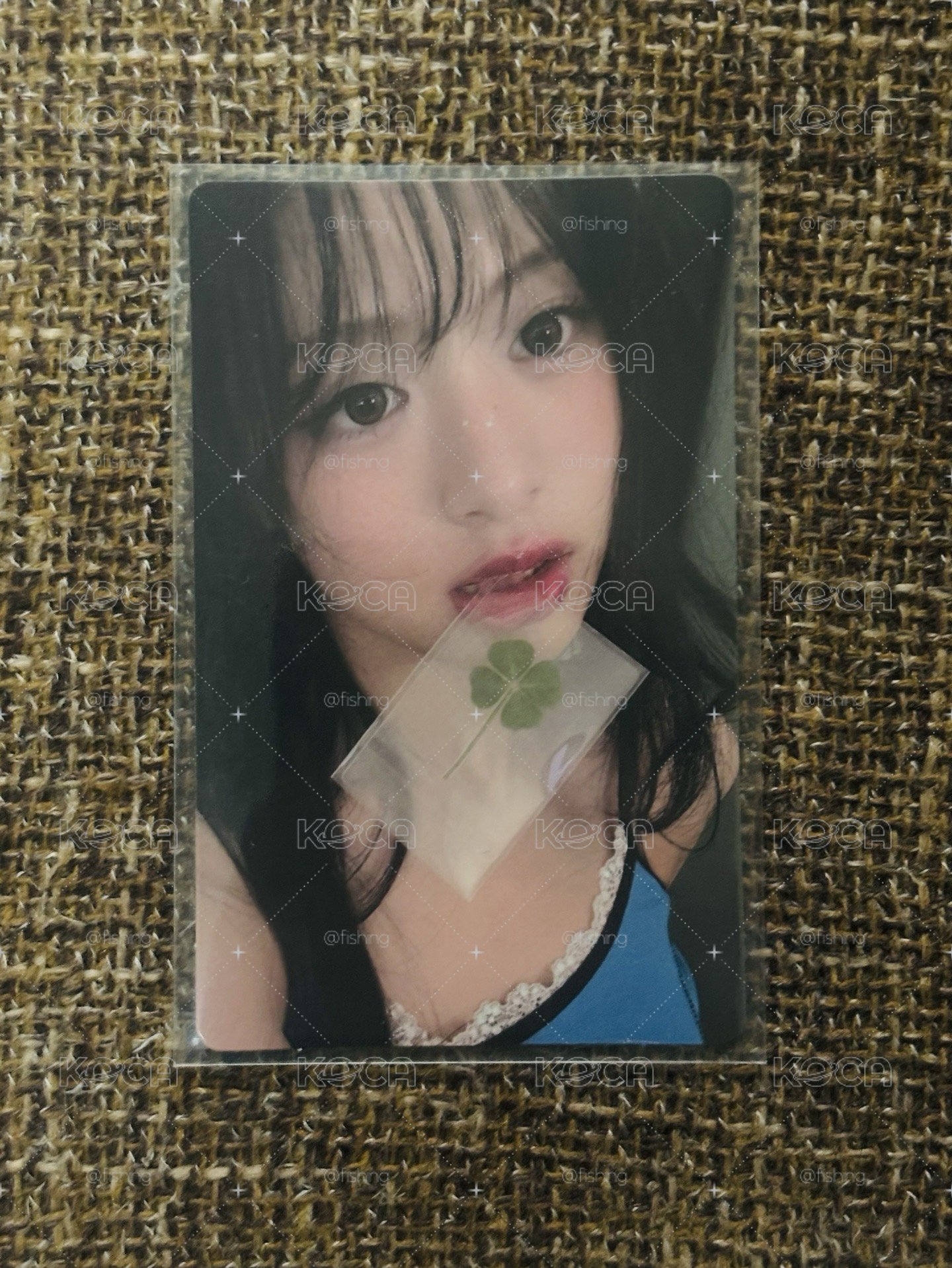 四葉草賢