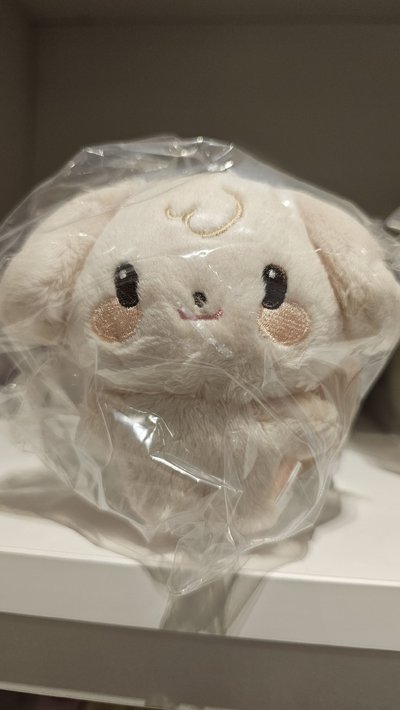 寶寶娃