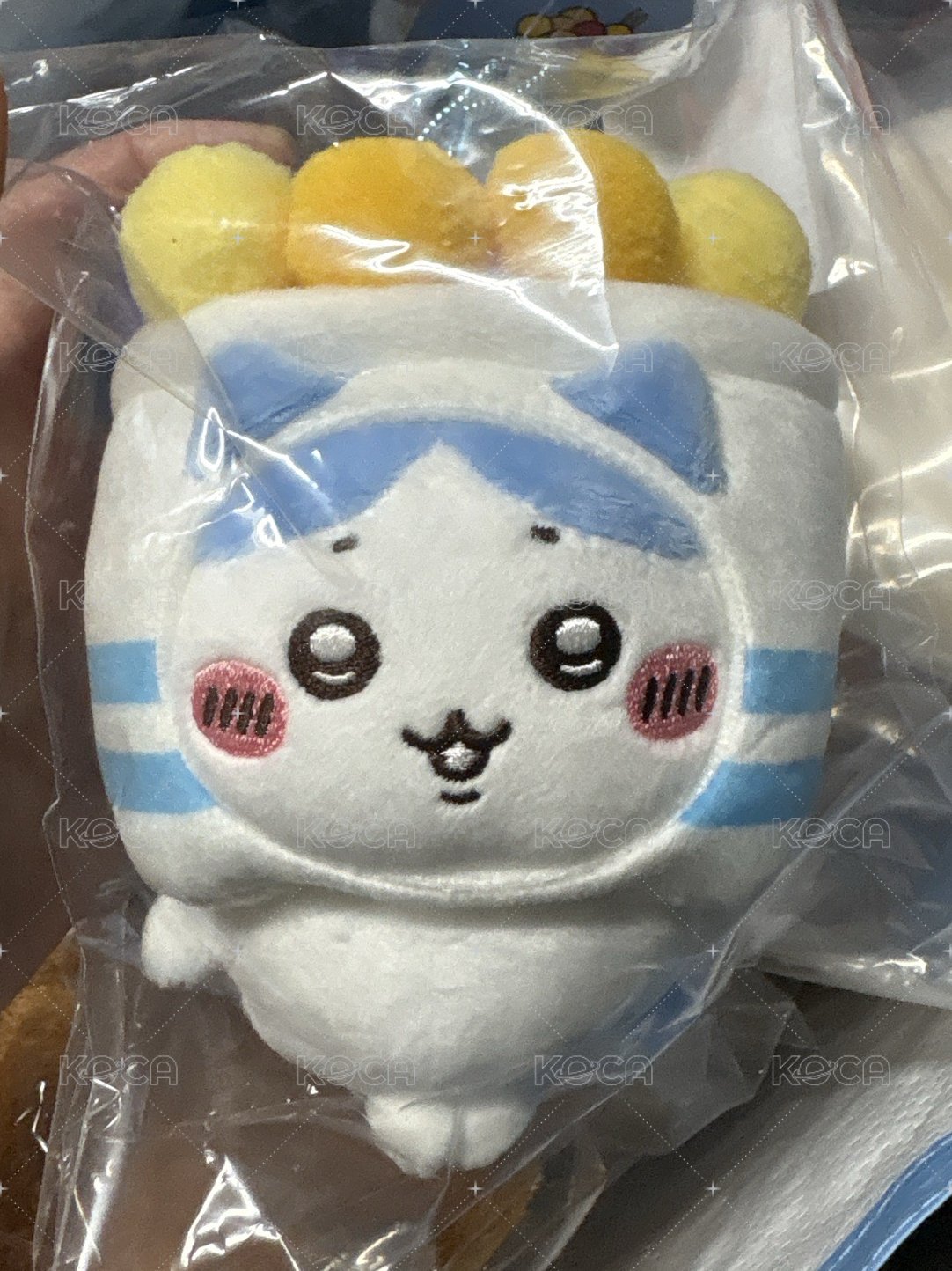 小八貓