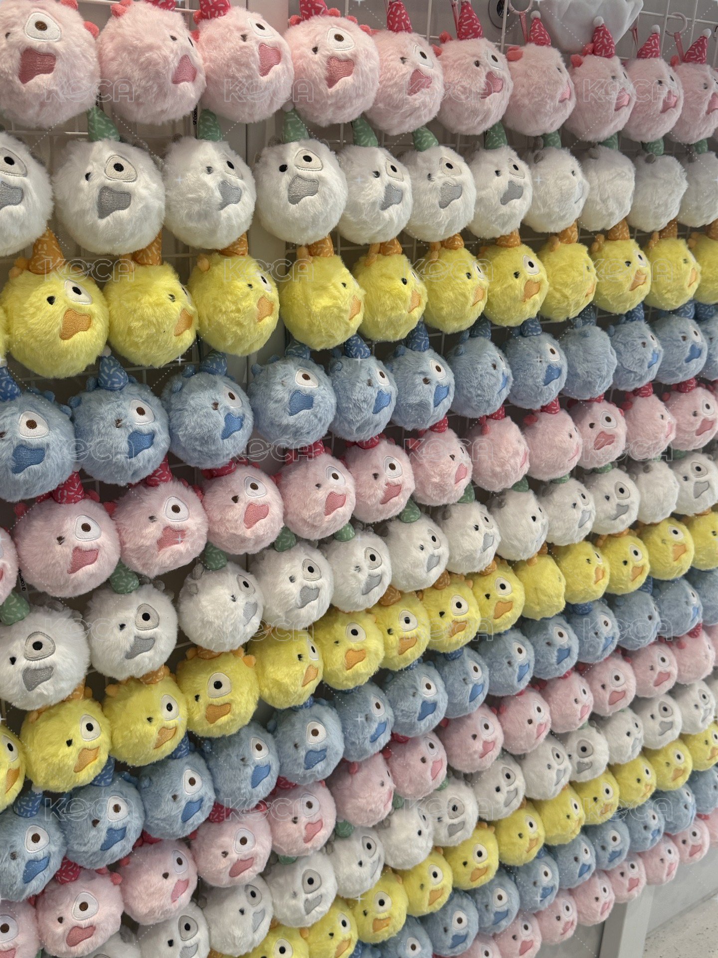 CORTIS快閃店現貨