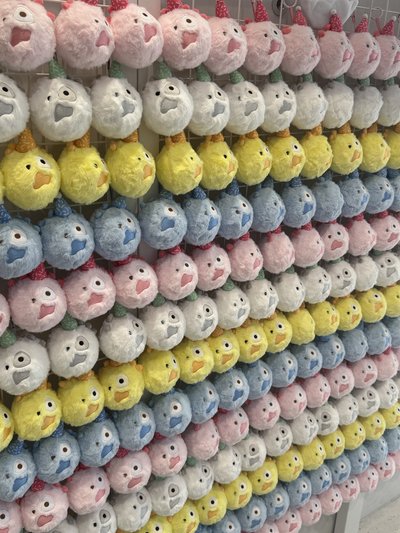 CORTIS快閃店現貨