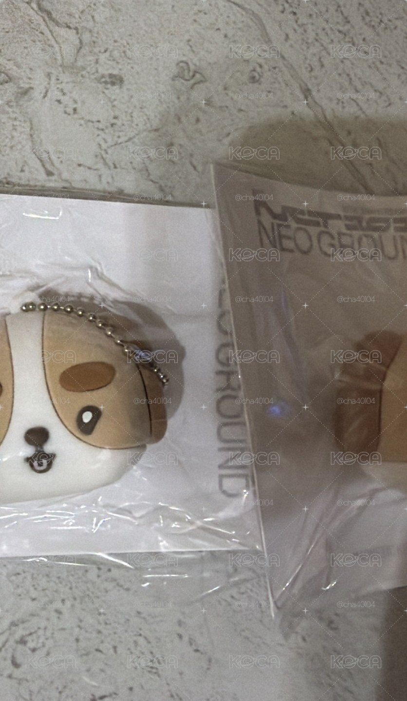 全新✅［開立電子發票🧾］磁吸鑰匙圈 XIAOJUN