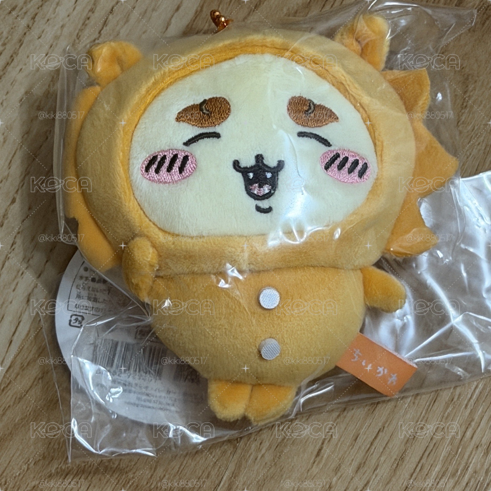 睡衣獅薩