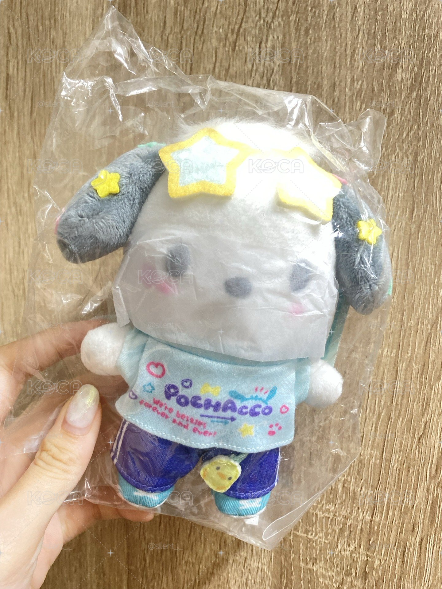 學園祭帕恰狗