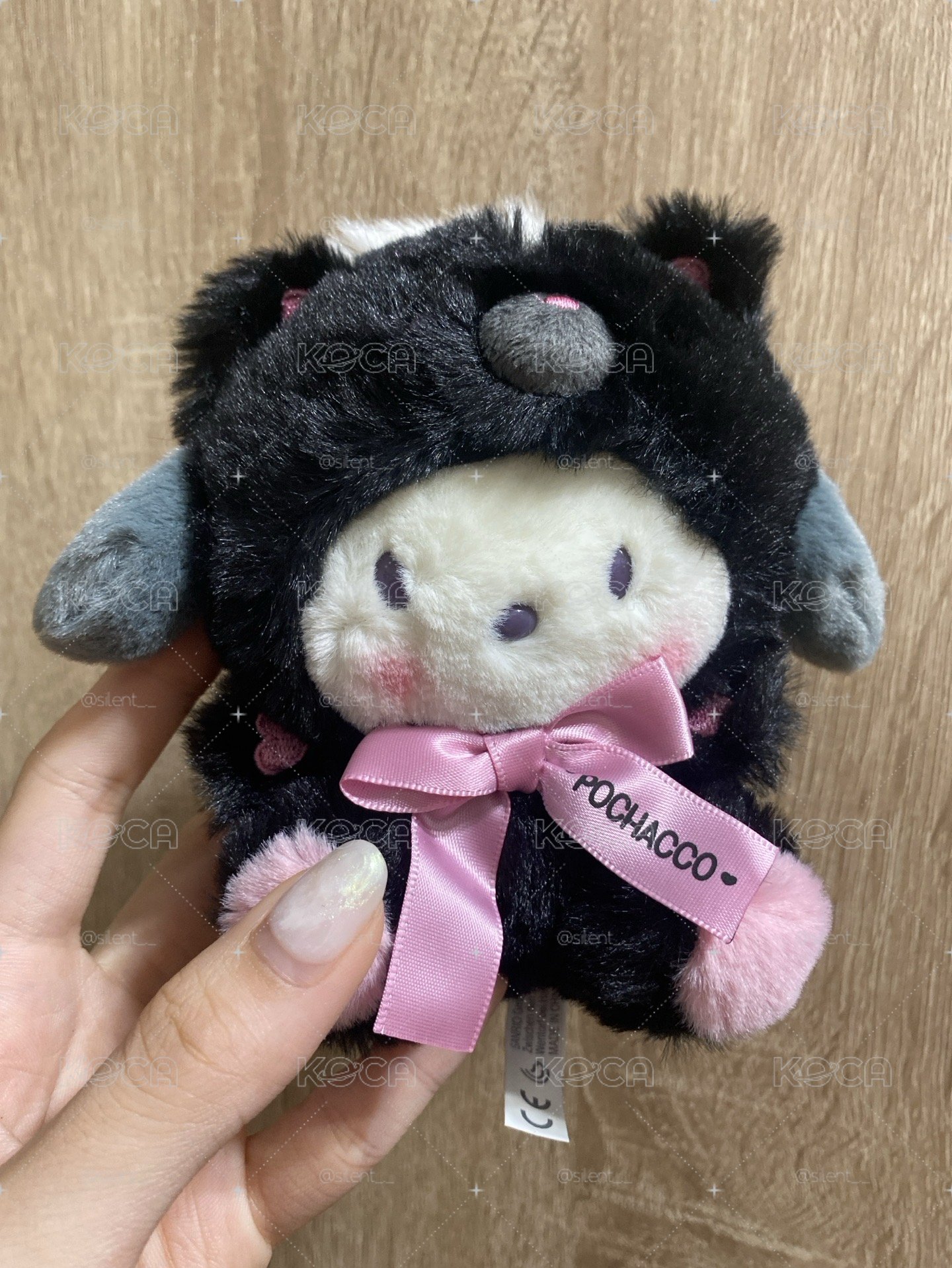 黑貓帕恰狗