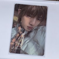 被陽光照到豬豬