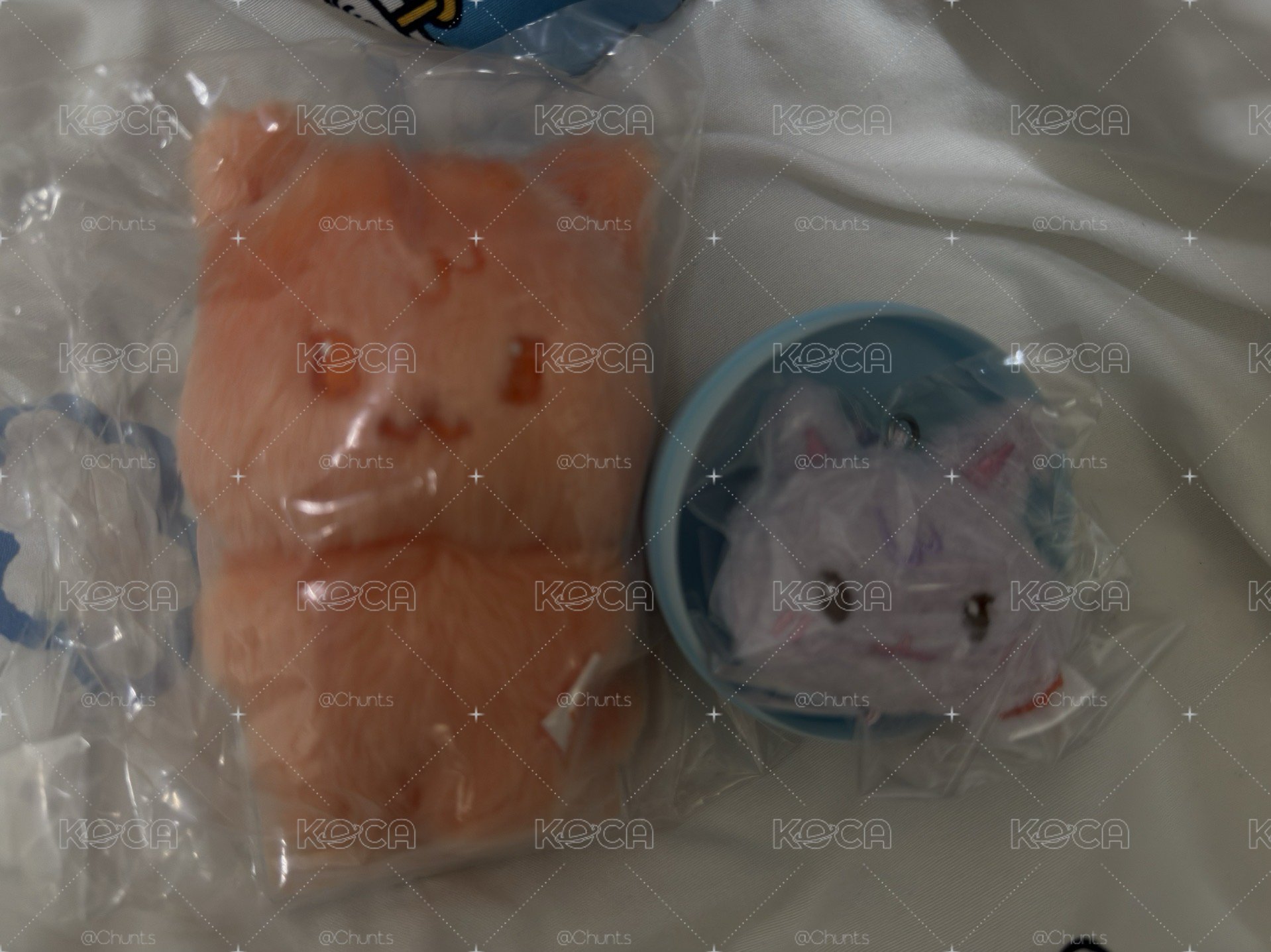 全新未拆 傘傘