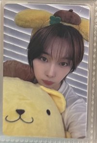布丁狗