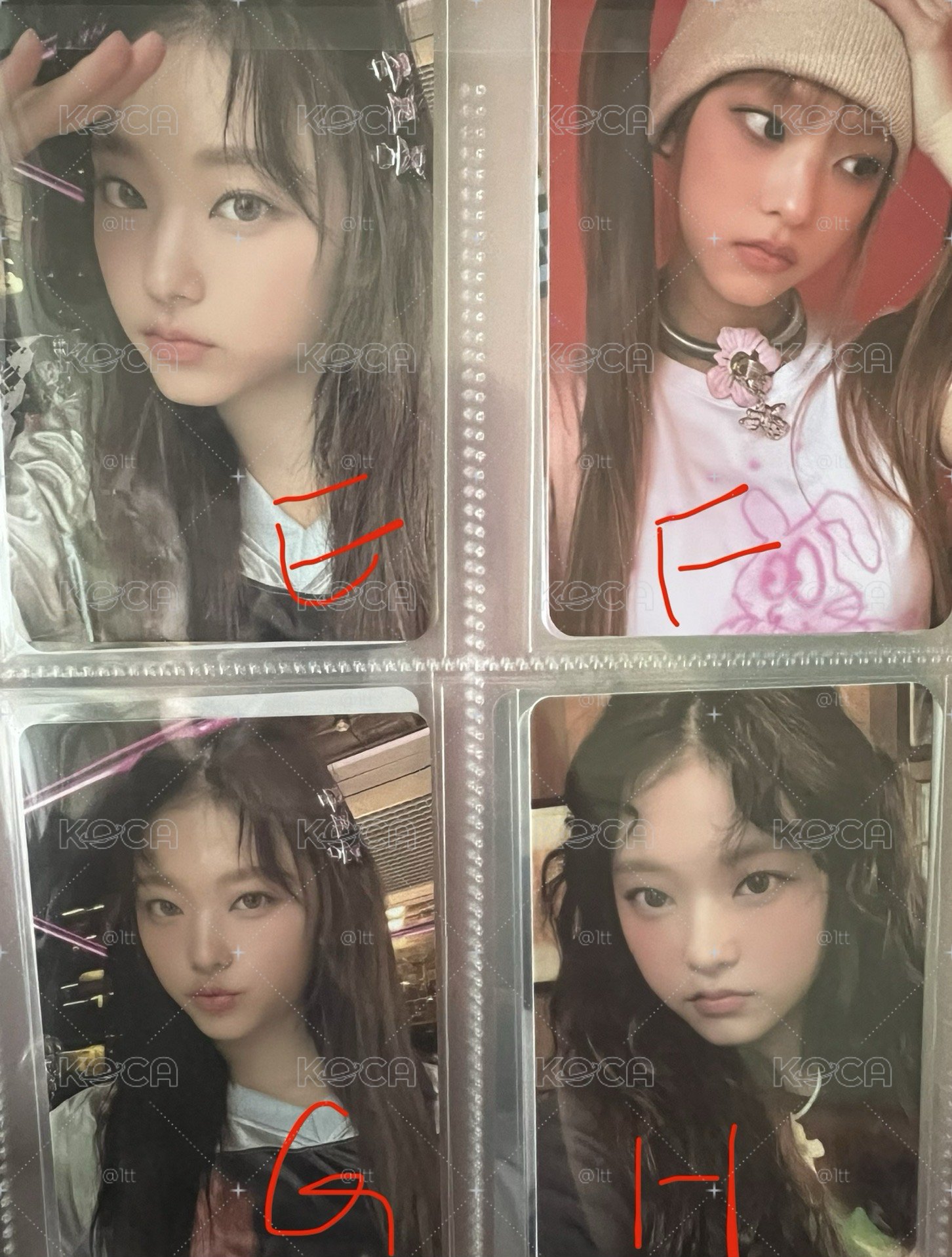 一些貓