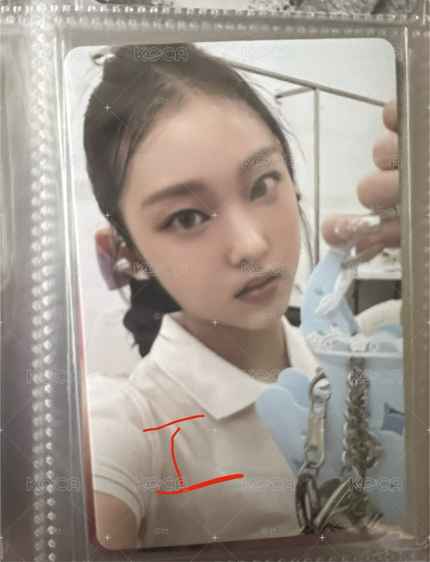 一些貓