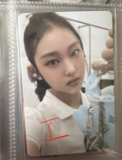 一些貓