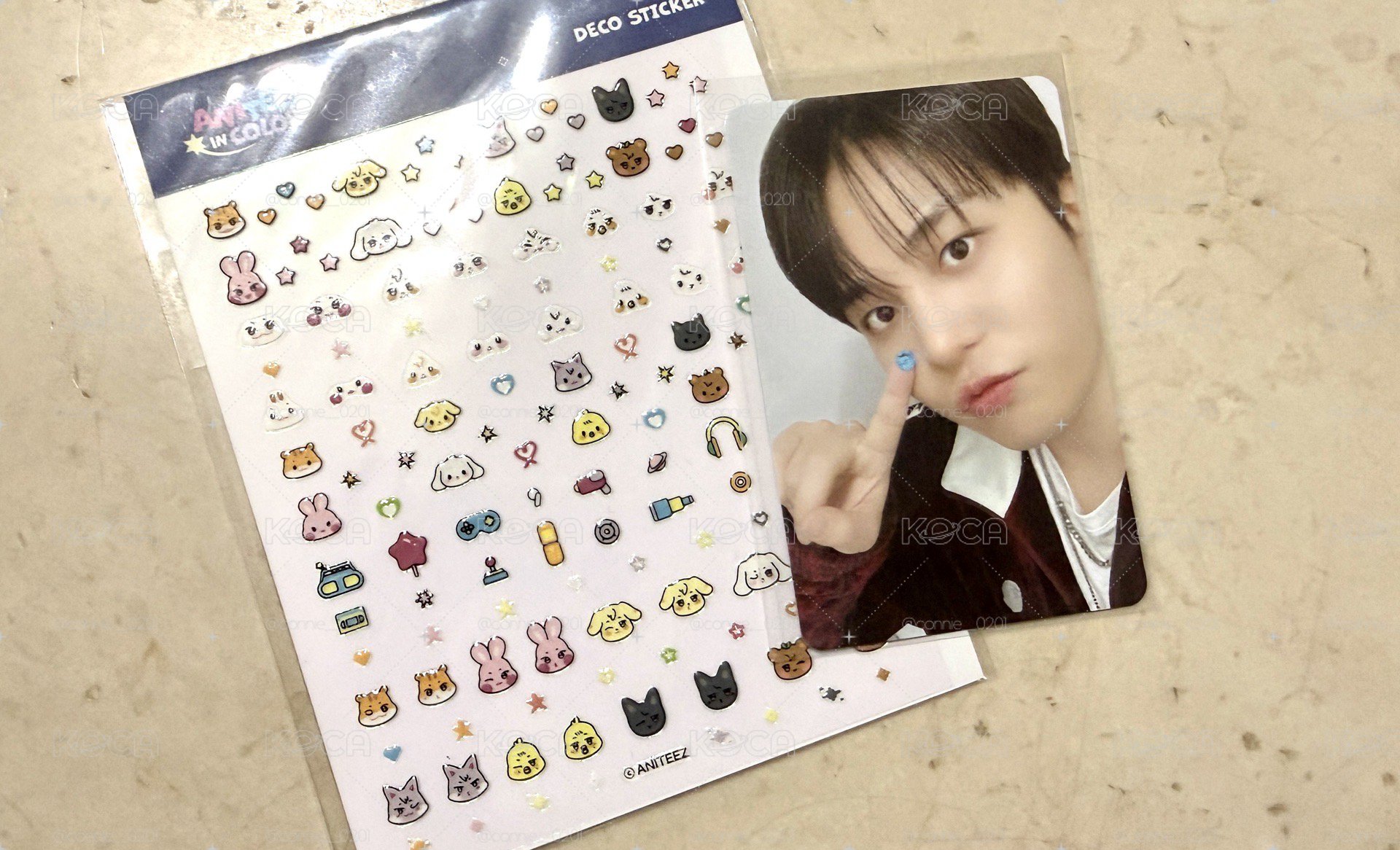 aniteez in color 小貼紙+🐻