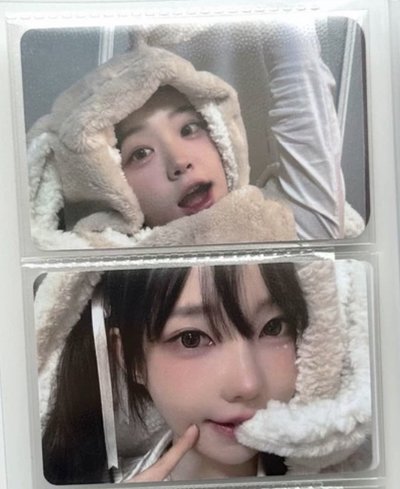 Chodan 兔毯特典卡