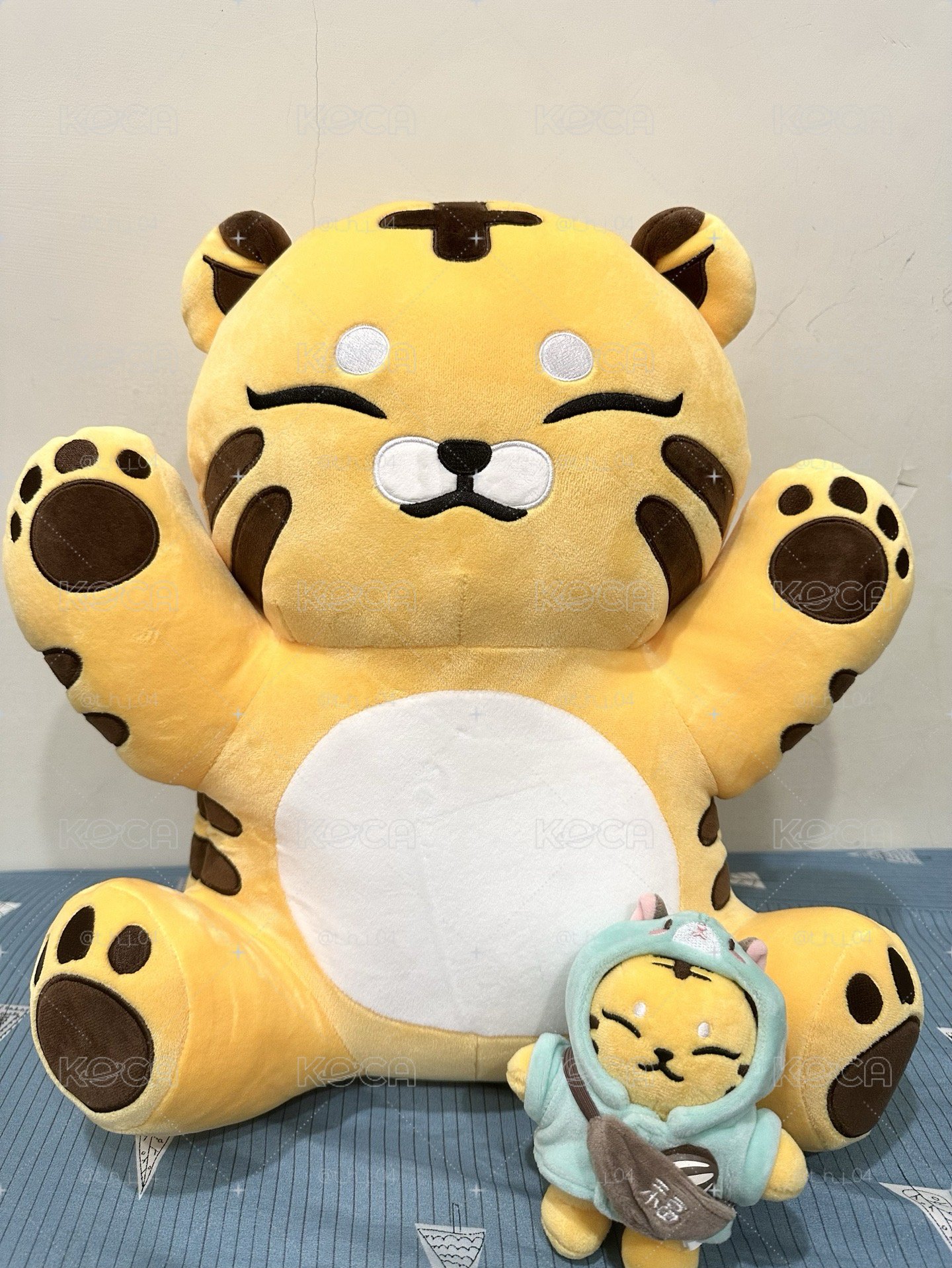 大小眈眈