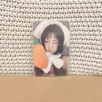 圭
