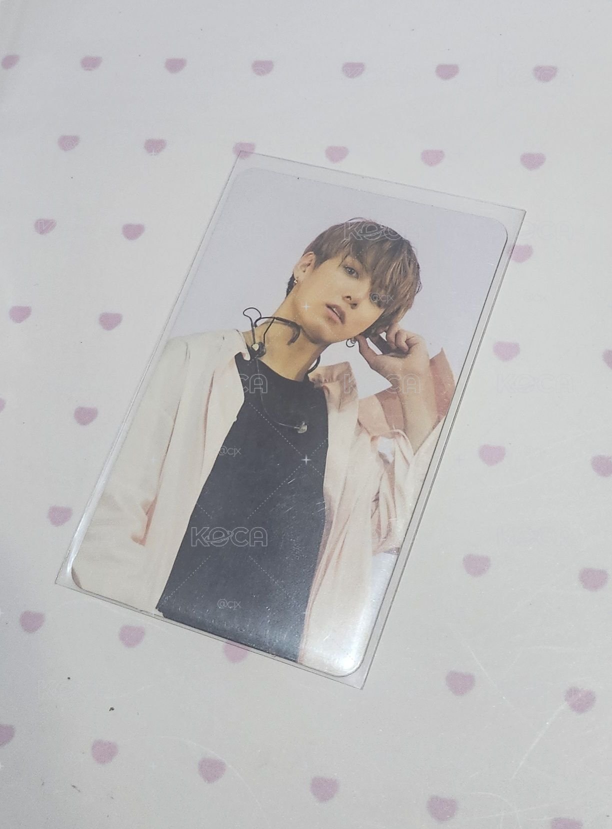 Wings Tour 演唱會 DVD / CD 卡 
