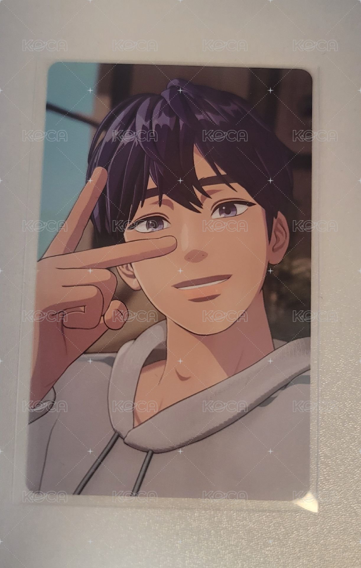 藝俊WVS