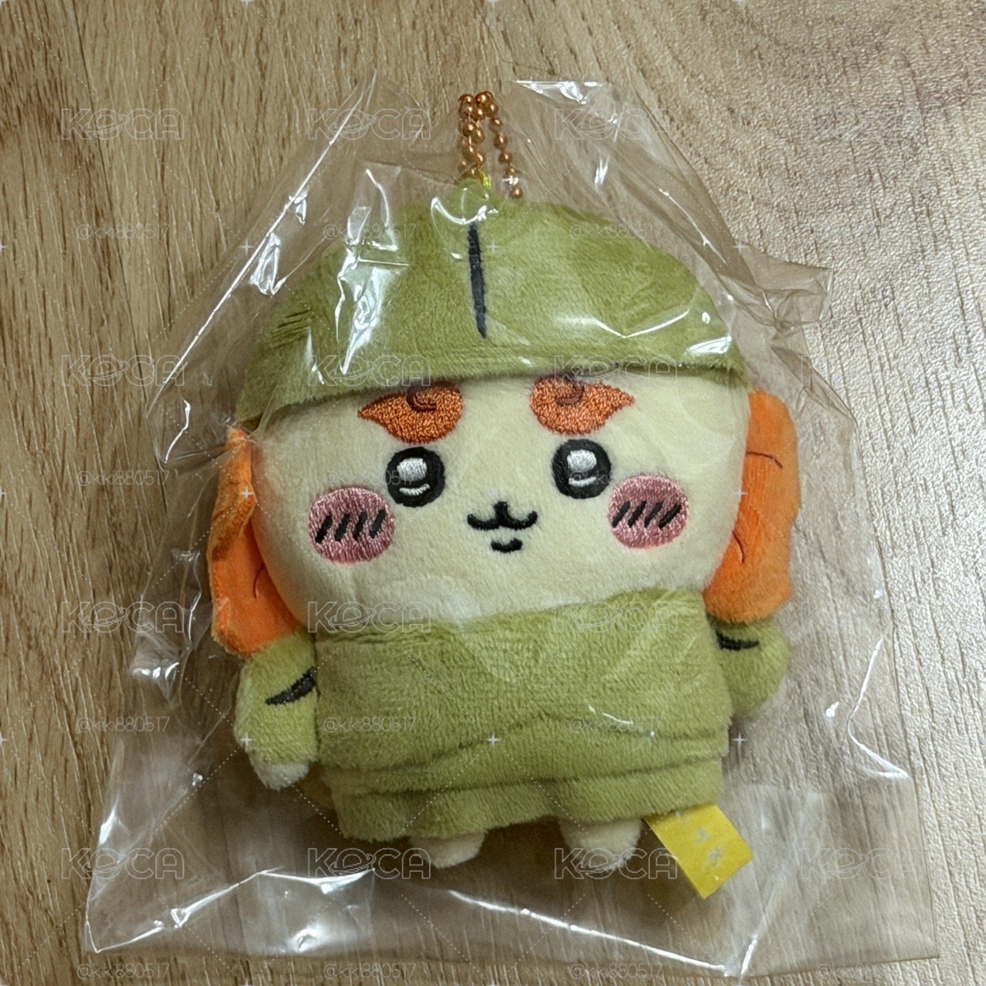 鎧甲獅薩