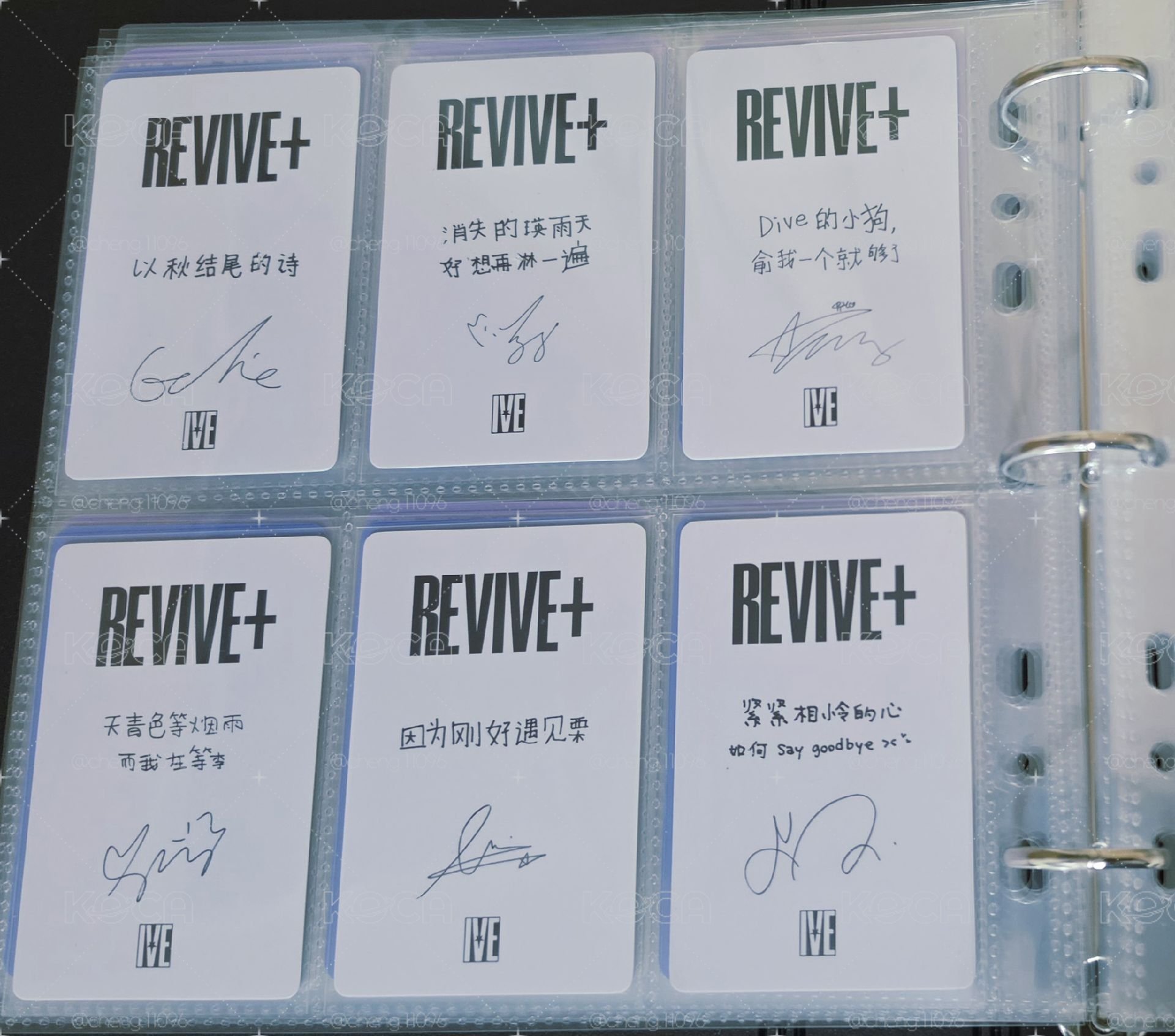 REVIVE+京東一套