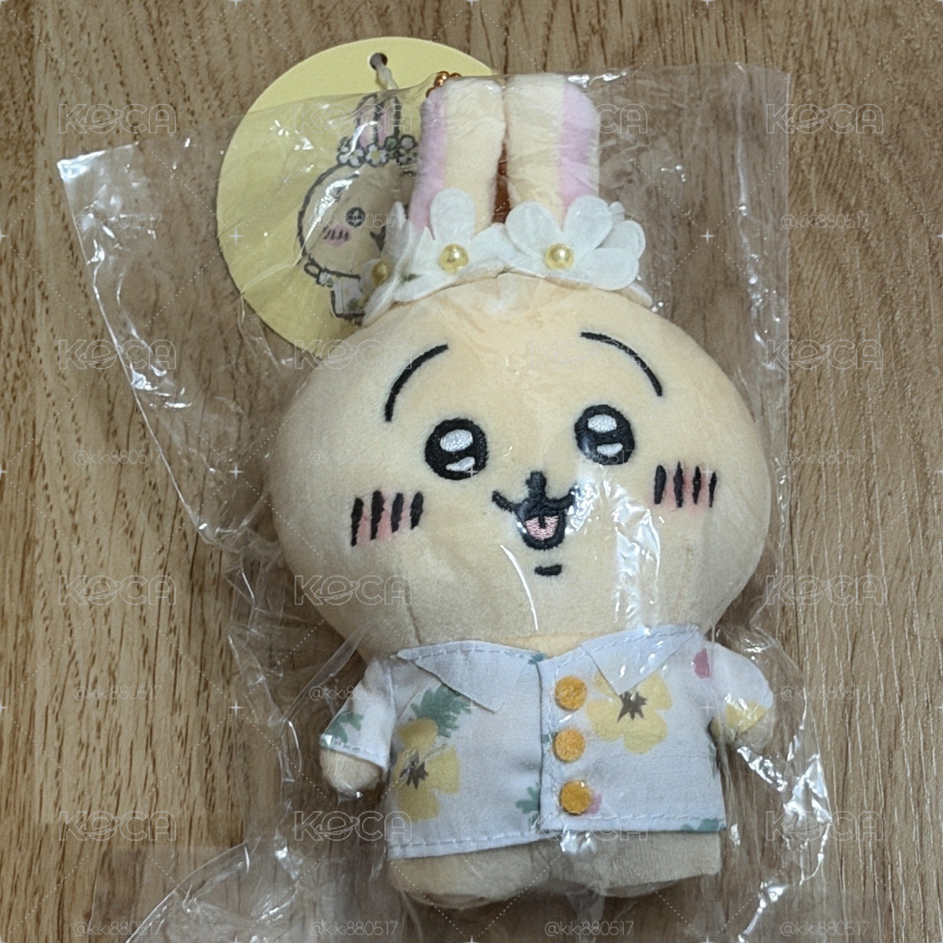 觀光兔兔