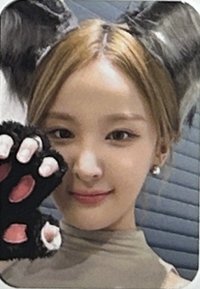 單曲二 ms 7.0 迷你卡 簽售卡 迷你卡 大灰狼ver.