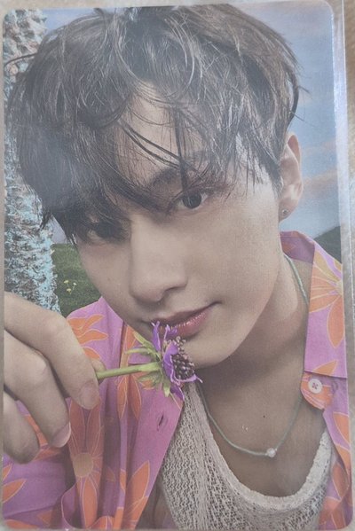 SEVENTEEN JUN 