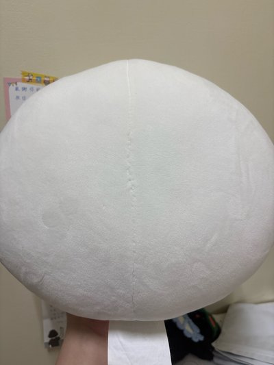雲寶寶🍼抱枕（二手無袋）