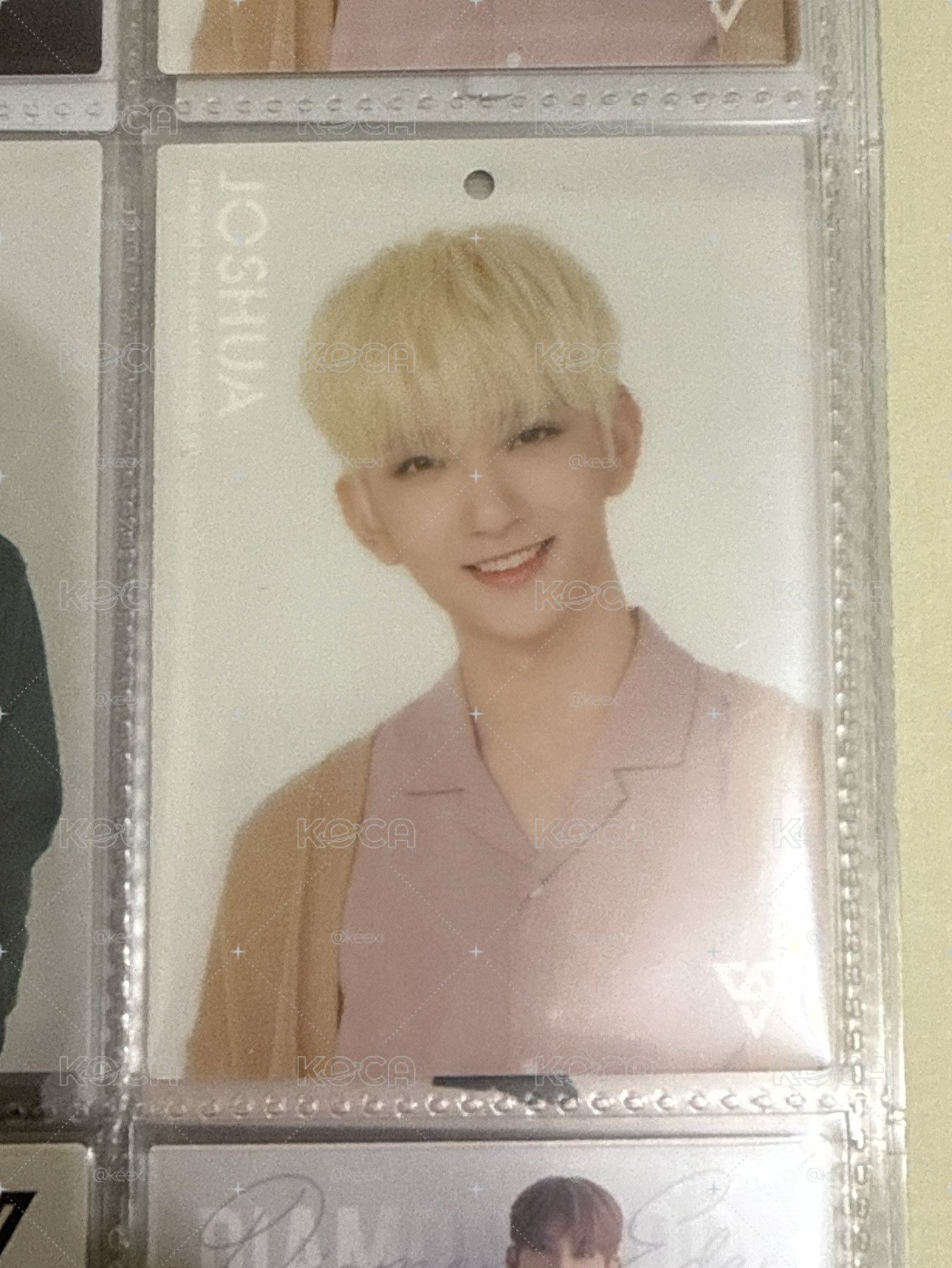 SVT 秀