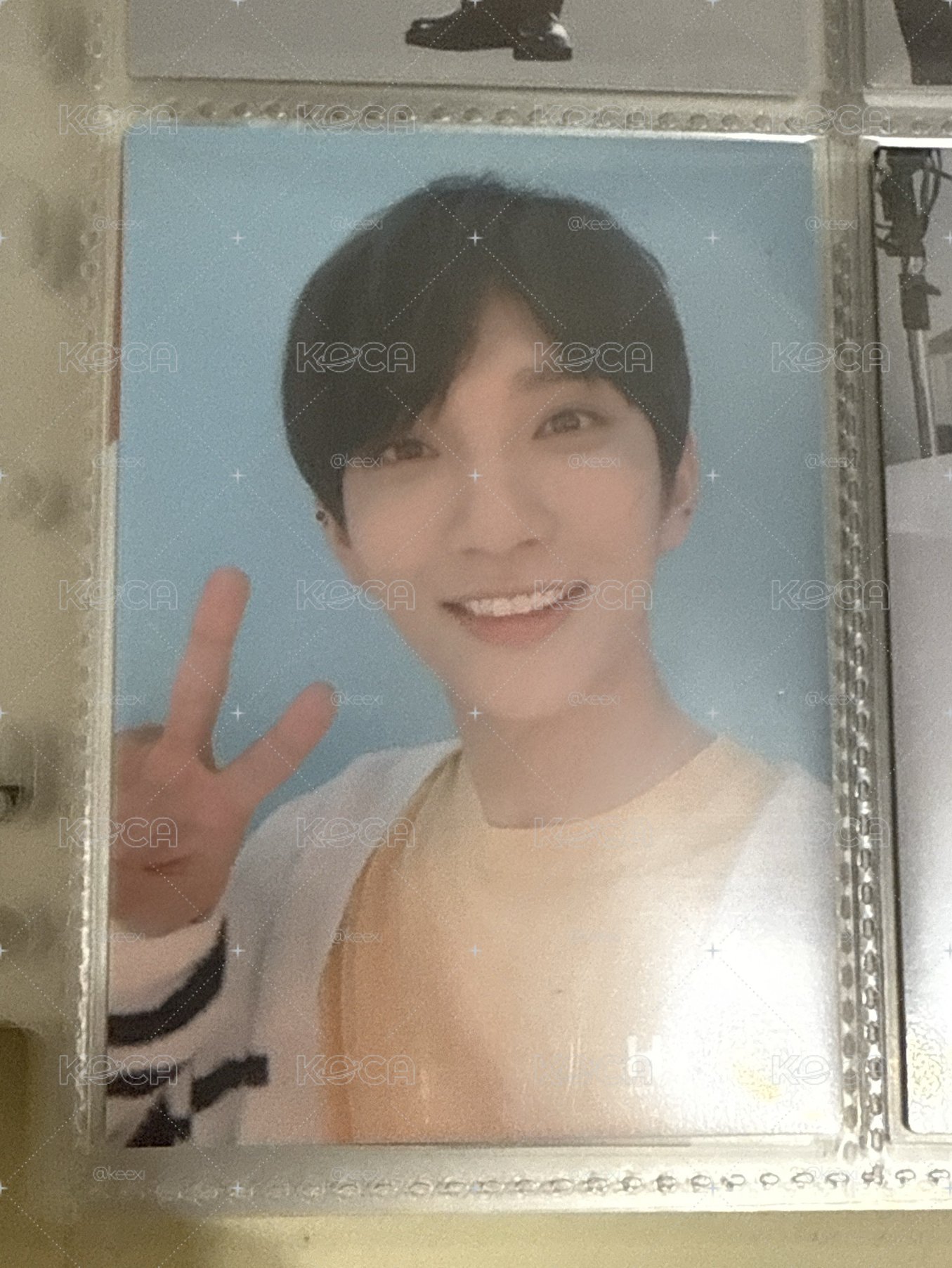 SVT 秀