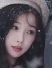 國王 隨機卡 拼圖卡 D