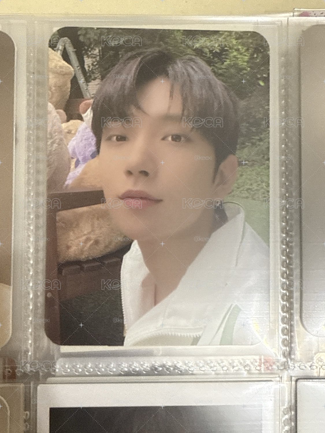 SVT 秀
